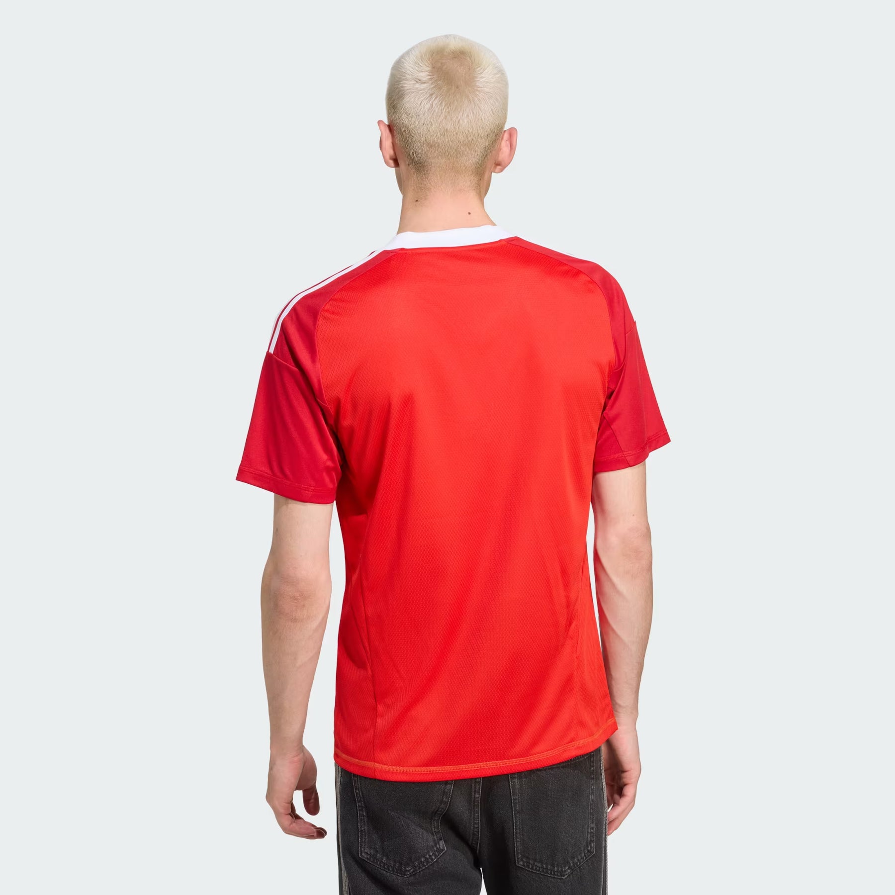 Camisa Flamengo III 2025/26 Goleiro Adidas Masculina - Vermelho