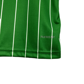 Camisa Celtic F.C. 24/25 Edição Comemorativa - Versão Torcedor